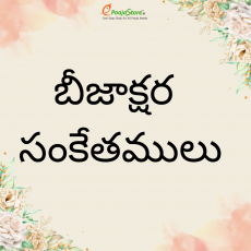 బీజాక్షర సంకేతములు.